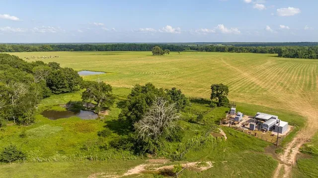 a view of an ocean and a mountain