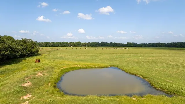 a view of an ocean and city
