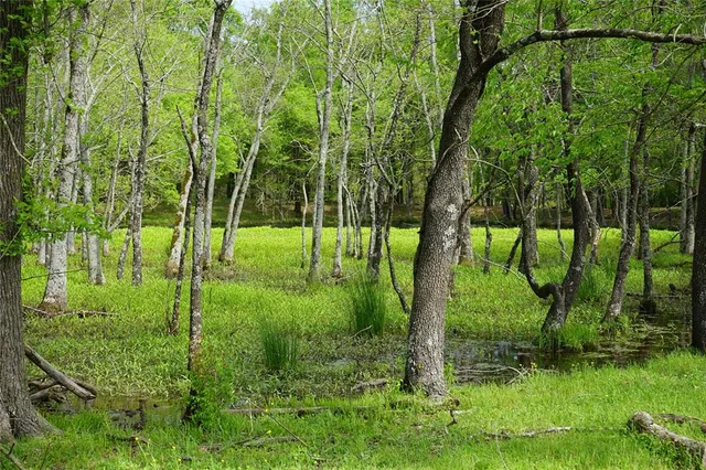 a view of an outdoor space and a yard