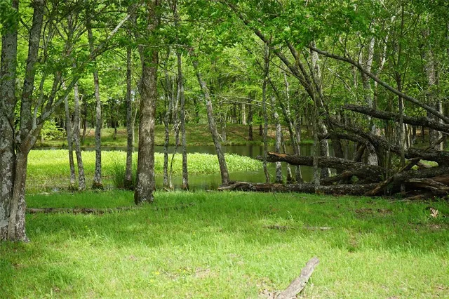 a view of a backyard with a garden