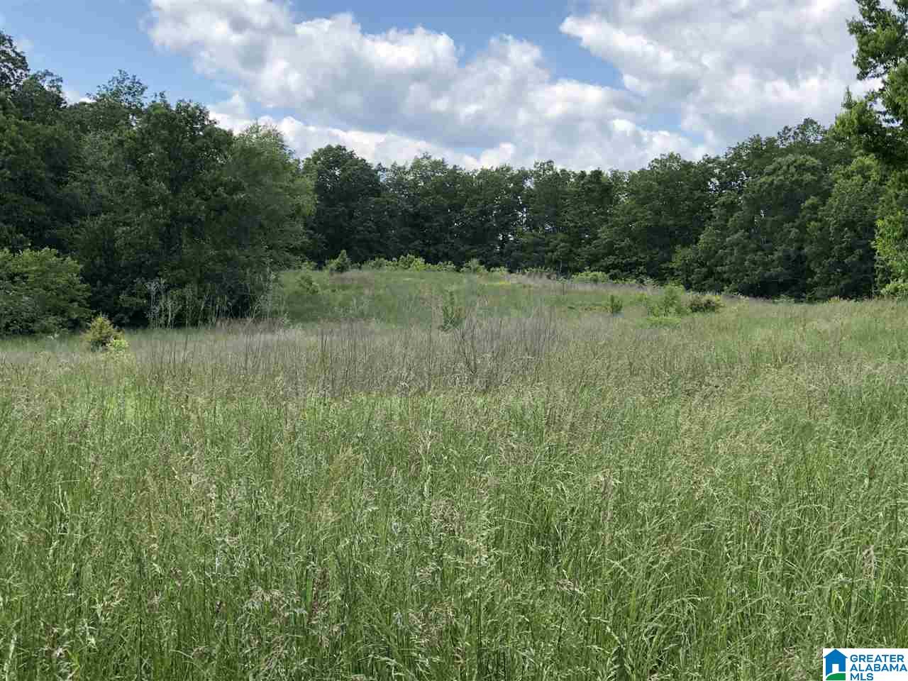 230 Copper Springs Road Odenville, AL 35120 - Photo 10 of 42