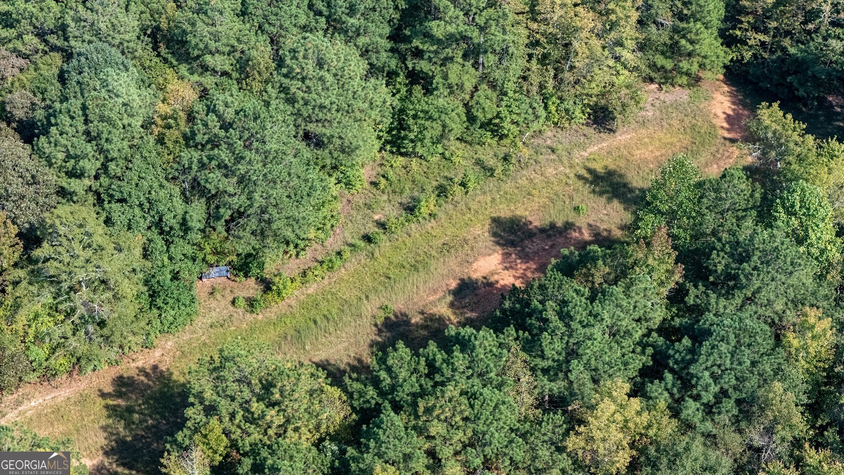 93.49-acres Forrest Road Grantville, GA 30220 - Photo 12 of 25 a view of a forest