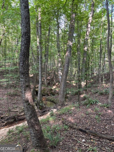 93.49-acres Forrest Road Grantville, GA 30220 - Photo 20 of 25 a view of forest
