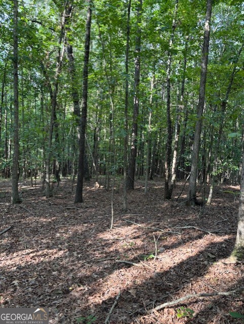 93.49-acres Forrest Road Grantville, GA 30220 - Photo 23 of 25 a view of a forest with trees in the background