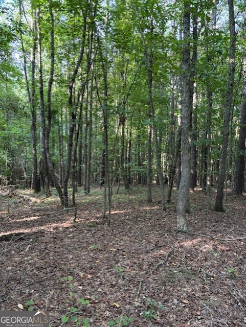 93.49-acres Forrest Road Grantville, GA 30220 - Photo 25 of 25 a backyard of a forest