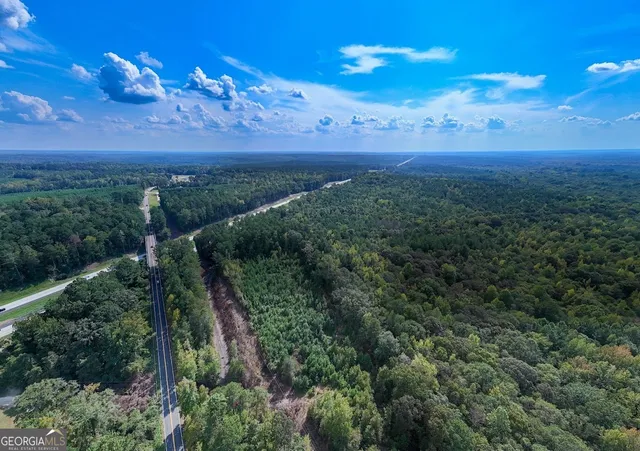 a view of a city with lots of green space