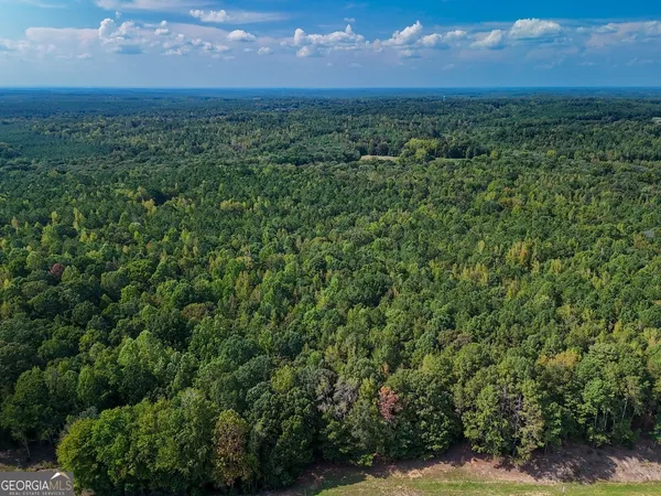 a view of a city with lush green forest