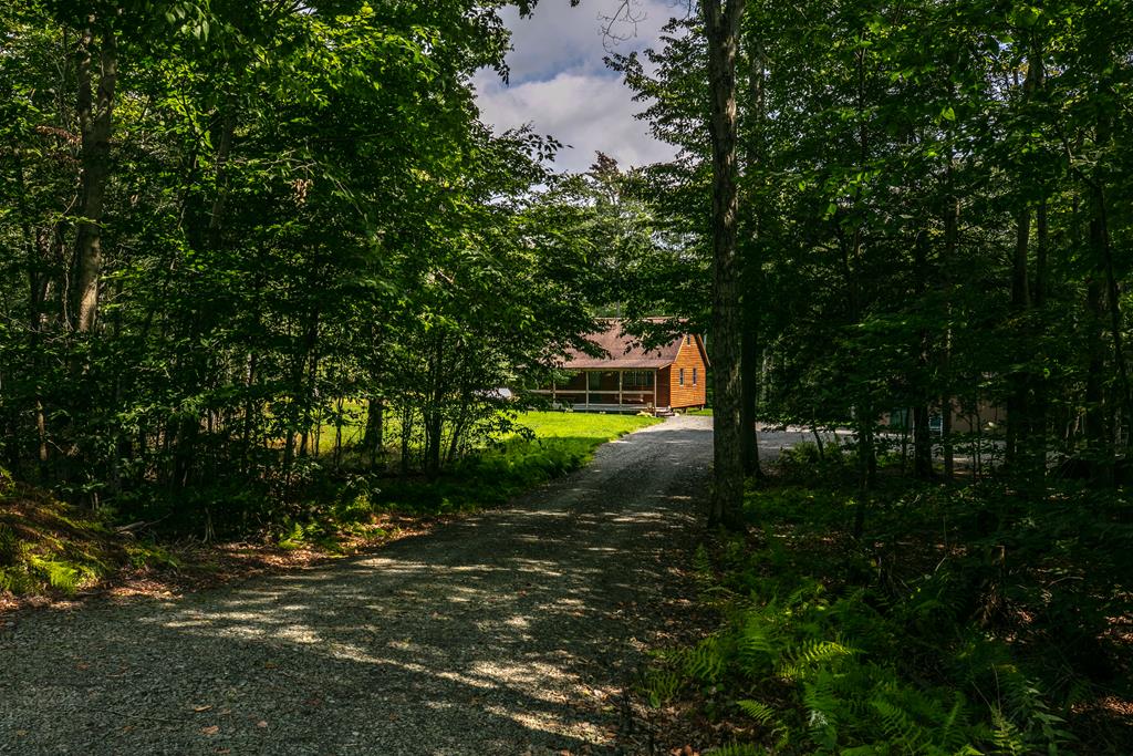 1776 Blake Road Blossburg, PA 16912 - Photo 13 of 28 Gallery Image 13