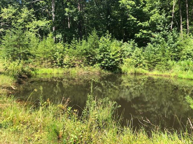 898 Furnace Road Stanton, KY 40380 - Photo 57 of 63 Photo 57