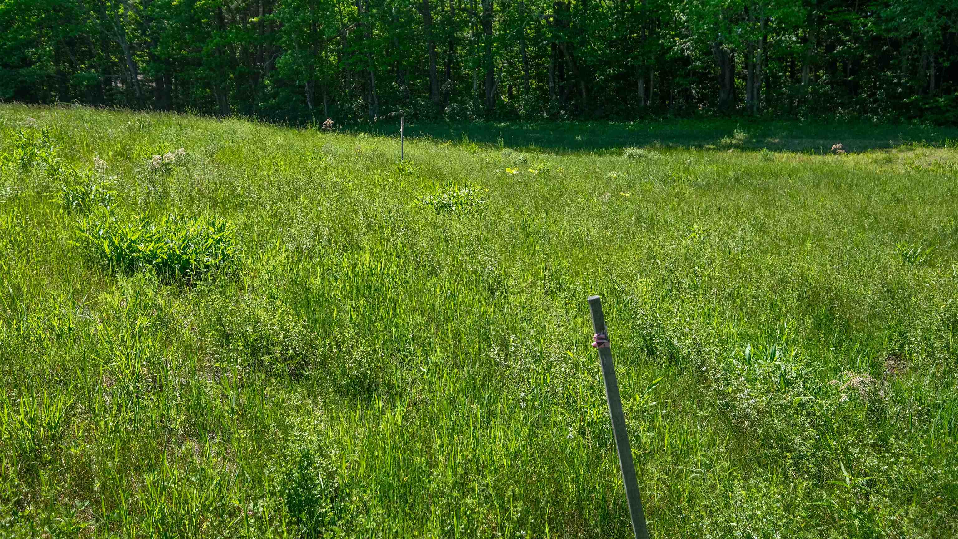 0 Rod And Gun Club Road, Unit 8 Ludlow, VT 05149 - Photo 14 of 27