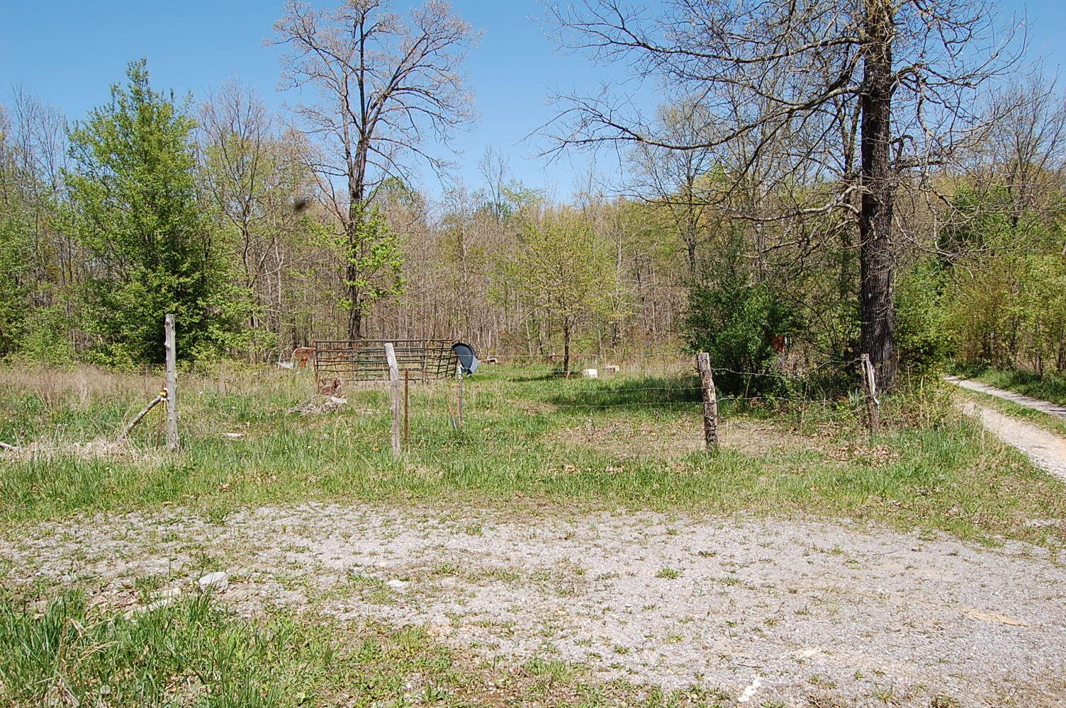 992 Black Mountain Road Dunlap, TN 37327 - Photo 8 of 21 Gallery Image 8