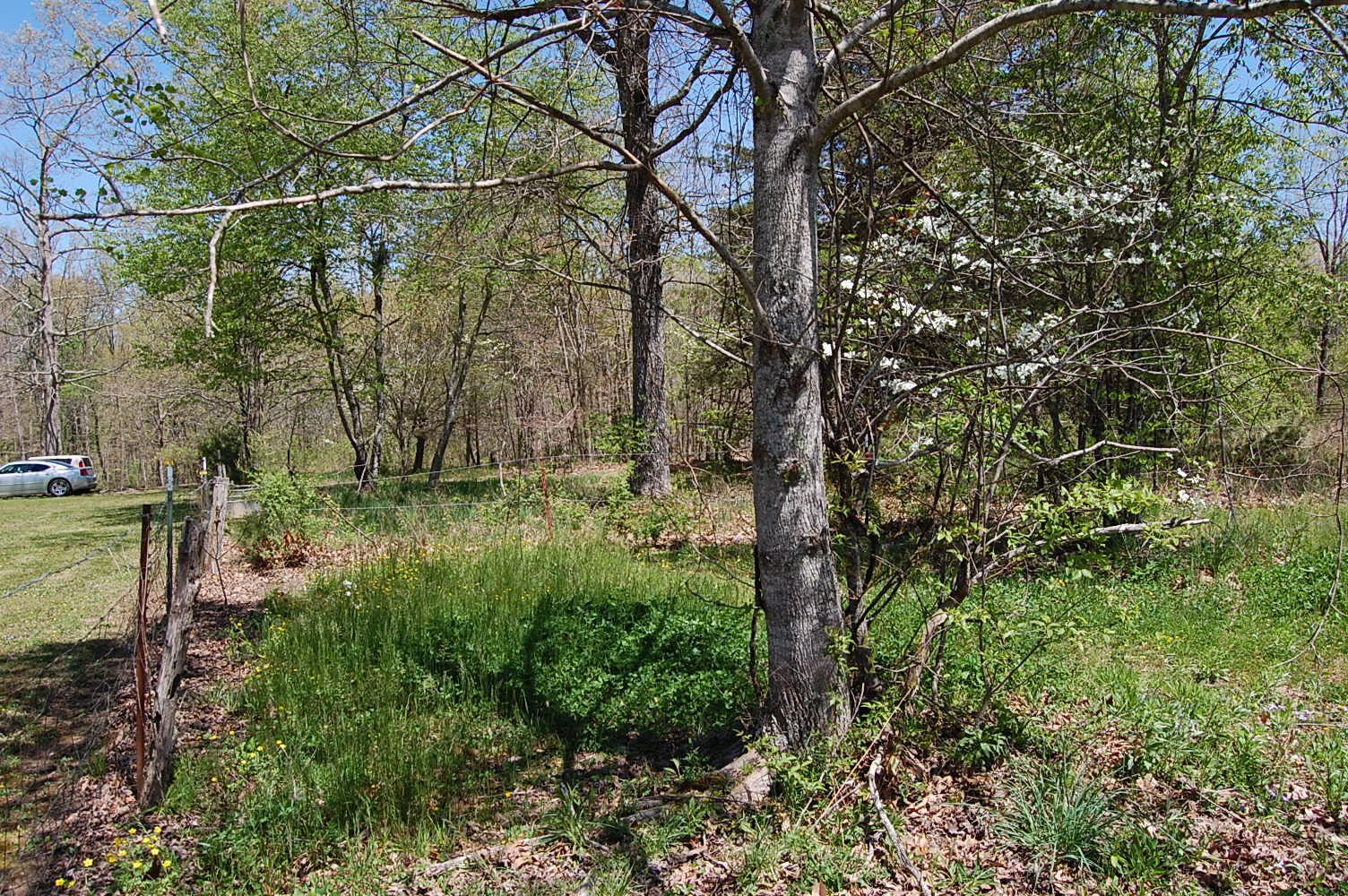 992 Black Mountain Road Dunlap, TN 37327 - Photo 9 of 21 Gallery Image 9