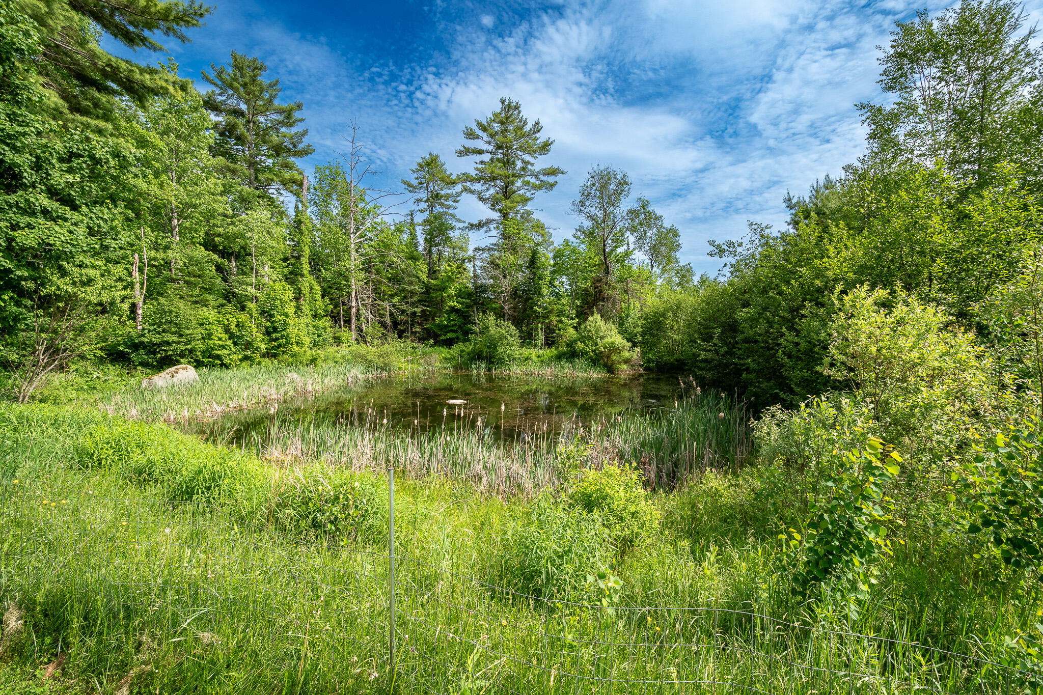 26 Chadbourne Road Harmony, ME 04942 - Photo 79 of 84 DSC_0849