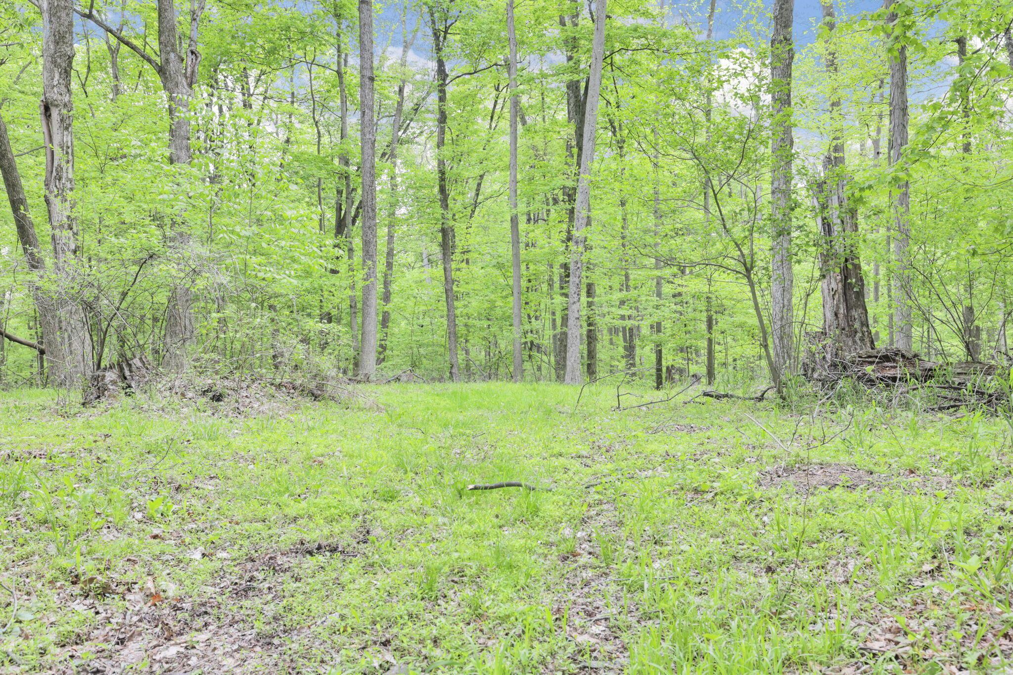 7247 Liberty Church Road Johnstown, OH 43031 - Photo 73 of 79