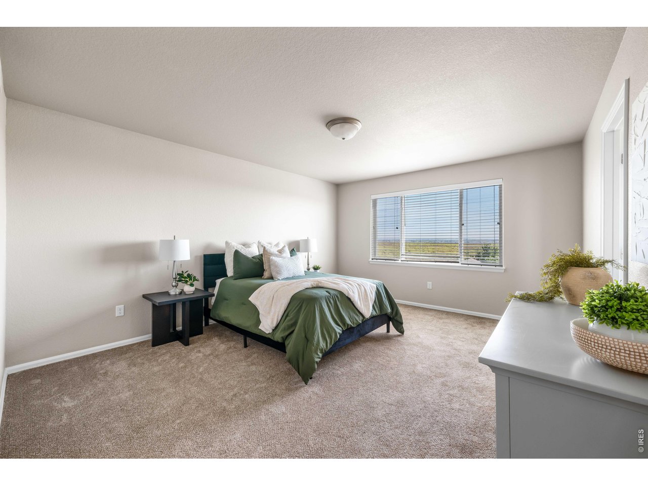 1838 Rise Drive Windsor, CO 80550 - Photo 26 of 40 Gallery Image 26