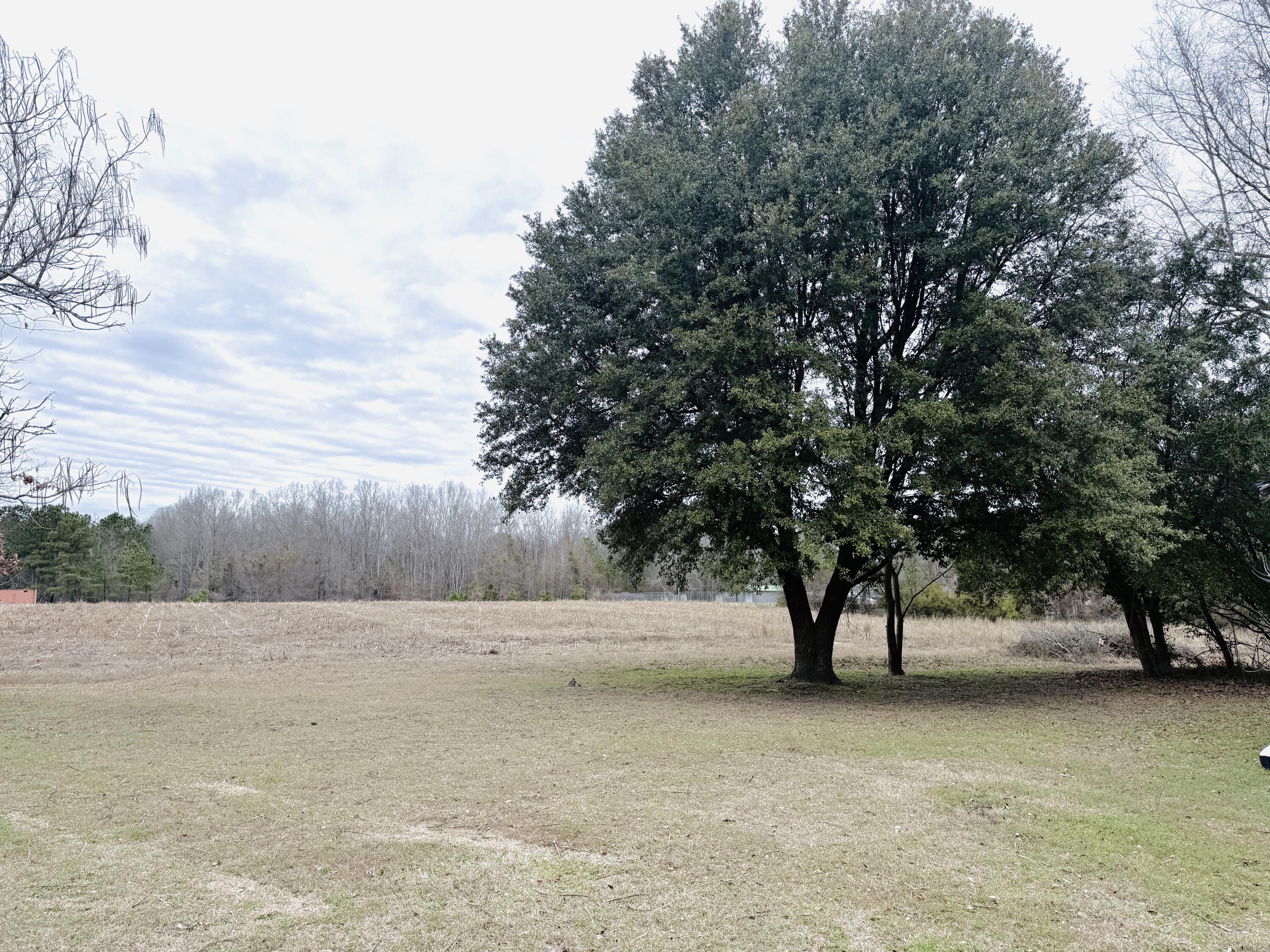 1390 Brantley Avenue Summerton, SC 29148 - Photo 19 of 20 IMG_1613
