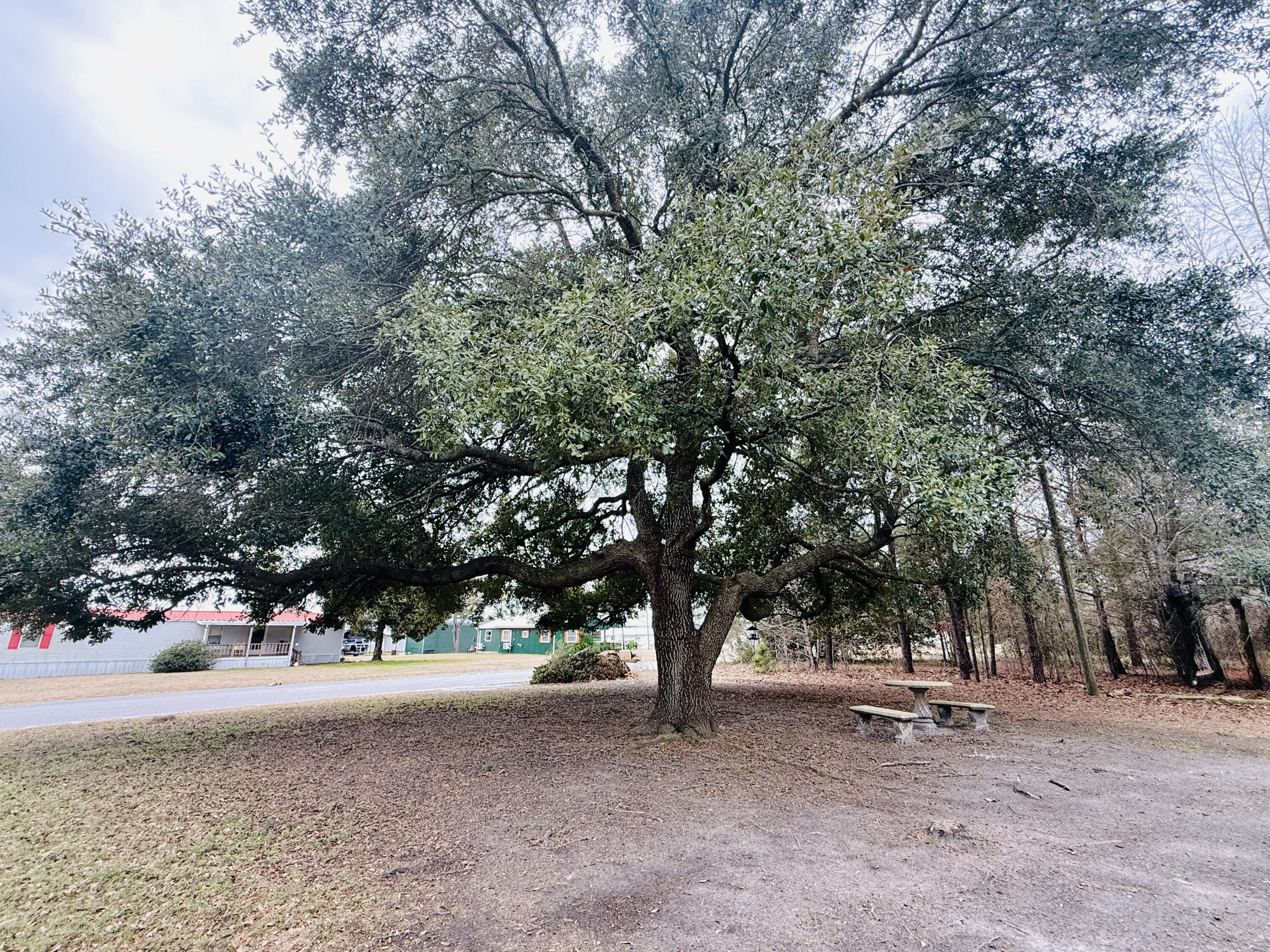 1390 Brantley Avenue Summerton, SC 29148 - Photo 5 of 20 IMG_1596