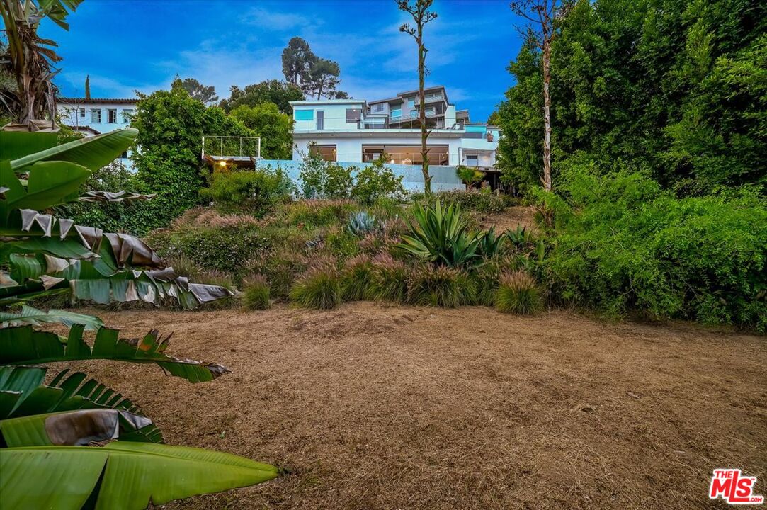 7044 Los Tilos Road Los Angeles, CA 90068 - Photo 54 of 58 a view of a yard with plants and a bench