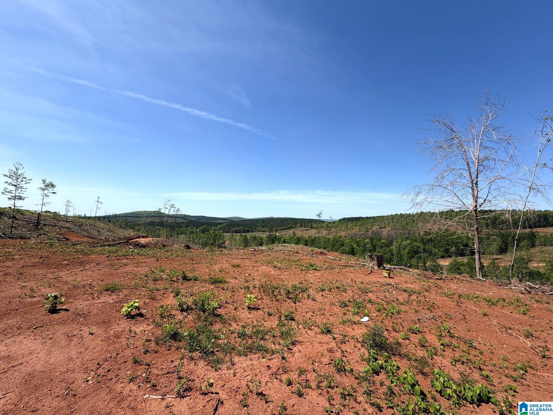 Mines Road, Unit 218 Talladega, AL 35160 - Photo 12 of 21 Gallery Image 12