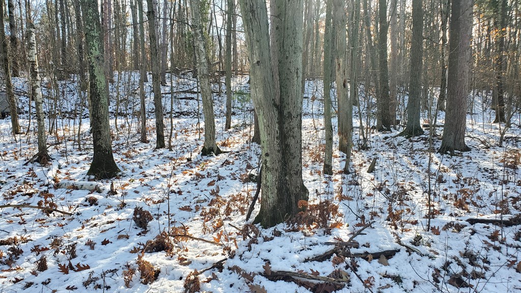 Lot 3 High Bluff Estates Road Sturgeon Bay, WI 54235 - Photo 3 of 6
