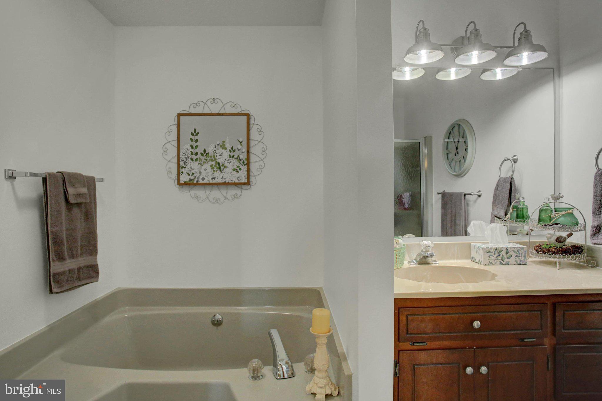 1461 Roxbury Road Shippensburg, PA 17257 - Photo 26 of 45 main bathroom