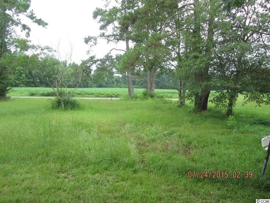 3444 Mt Olive Road Loris, SC 29569 - Photo 15 of 18 Gallery Image 15