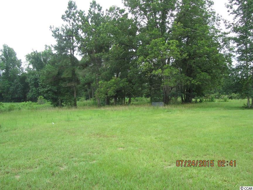 3444 Mt Olive Road Loris, SC 29569 - Photo 17 of 18 Gallery Image 17