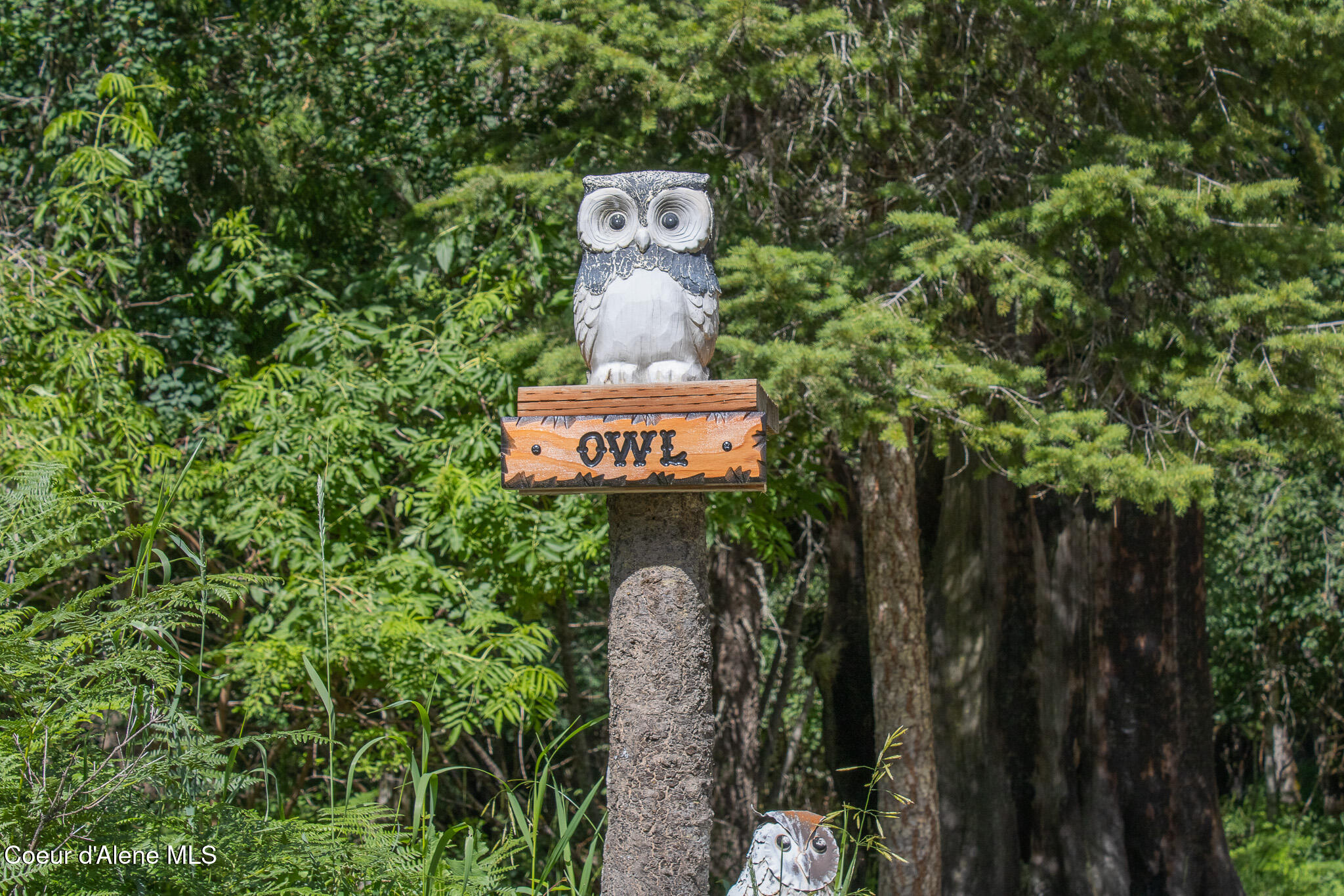 20264 Coeur D'Alene River Road Wallace, ID 83873 - Photo 58 of 59 Owl Sign