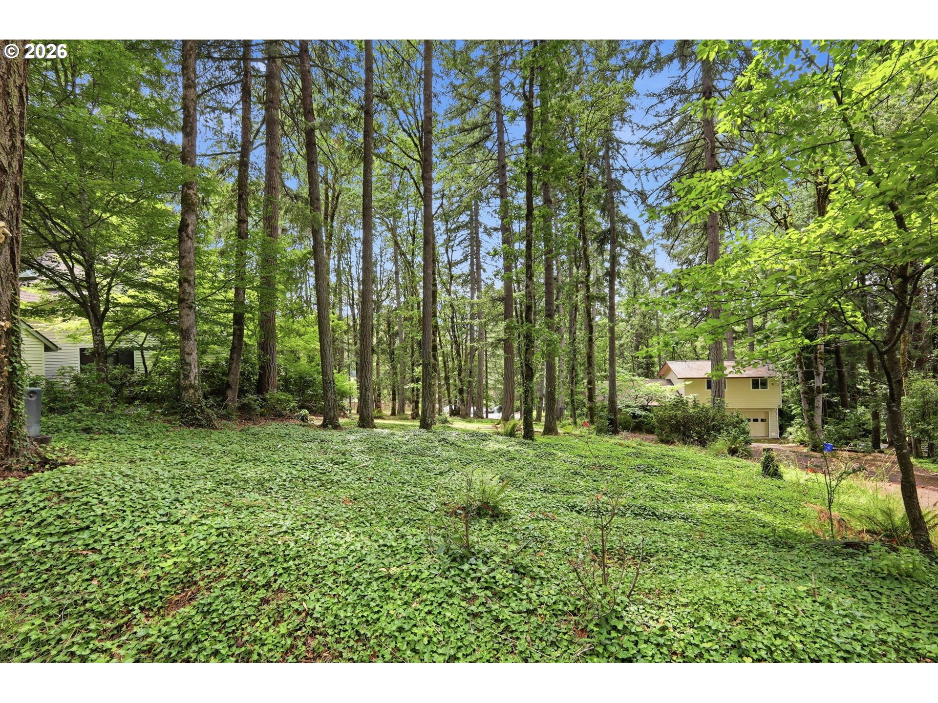4650 Old Dillard Road Eugene, OR 97405 - Photo 46 of 48