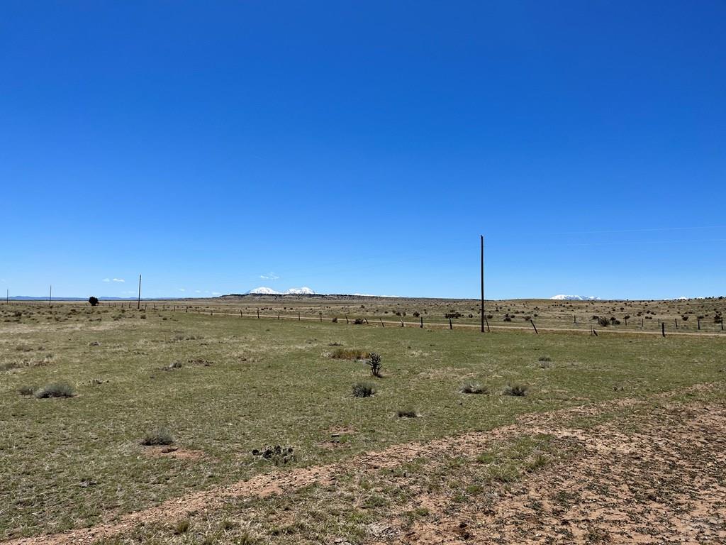 122 Turkey Ridge Ranch Walsenburg, CO 81089 - Photo 19 of 25