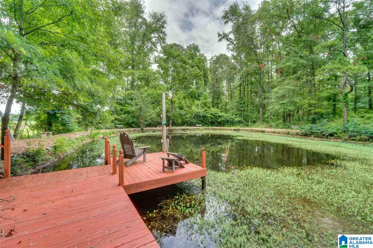 2995 County Road 77 Clanton, AL 35045 - Photo 44 of 50
