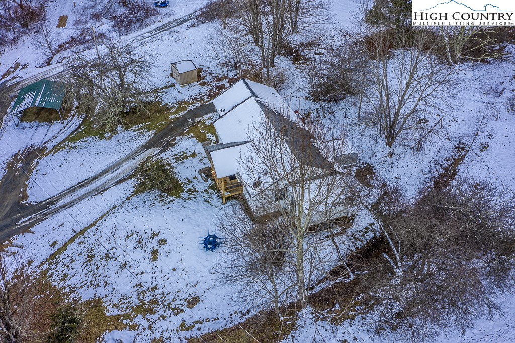 578 Charlie Hicks Road Banner Elk, NC 28604 - Photo 1 of 19 a view of a dry yard with trees