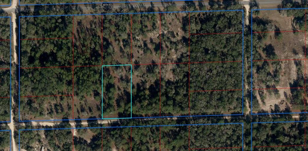 Tbd Northeast 78th Lane Bronson, FL 32621 - Photo 1 of 1
