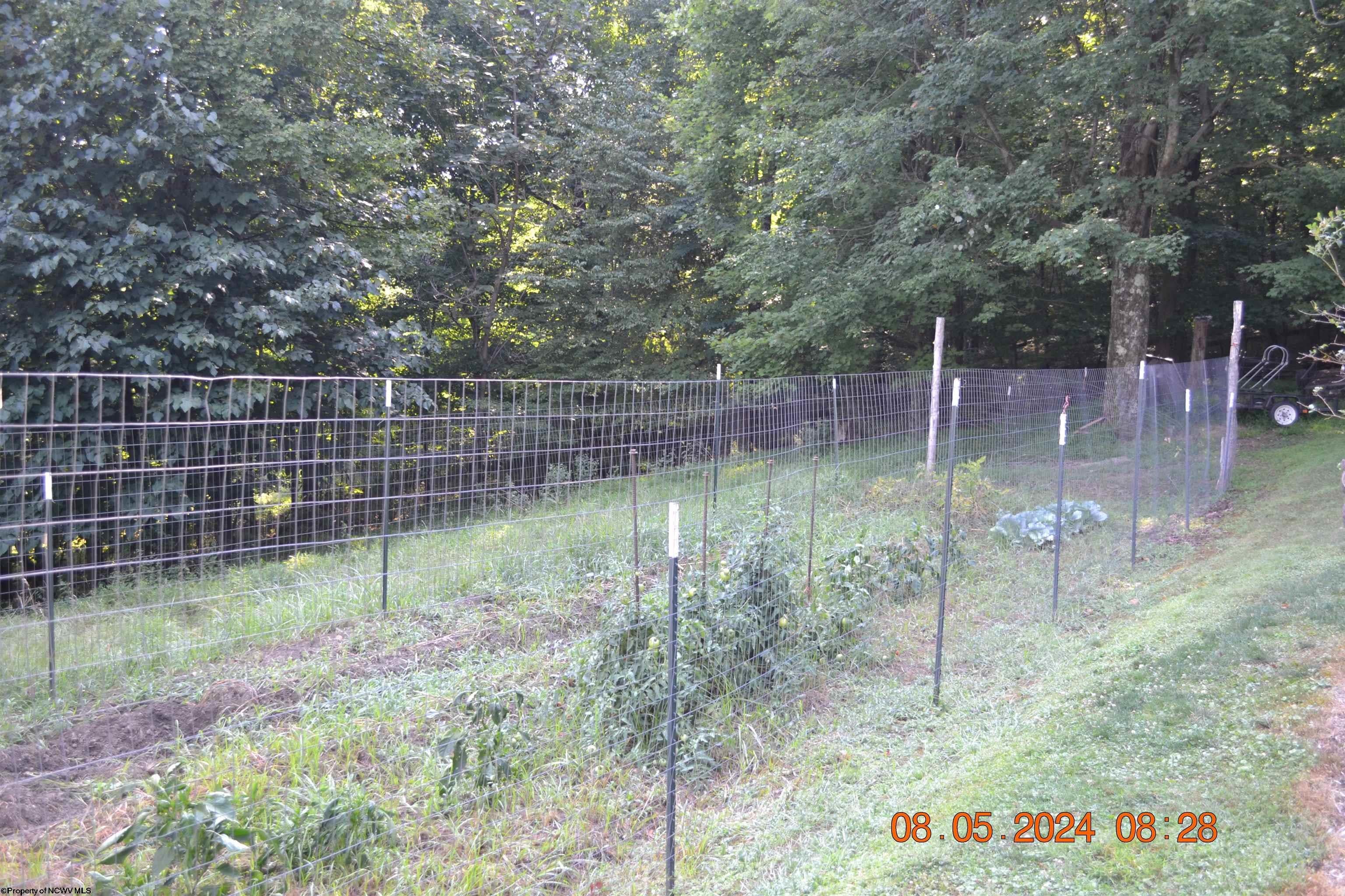 4900 Heaston Ridge Road Crawford, WV 26343 - Photo 9 of 21 Gallery Image 9