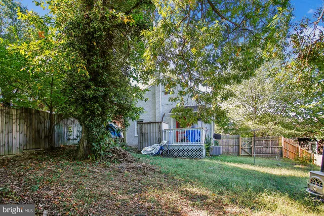 a view of a backyard with large trees and plants