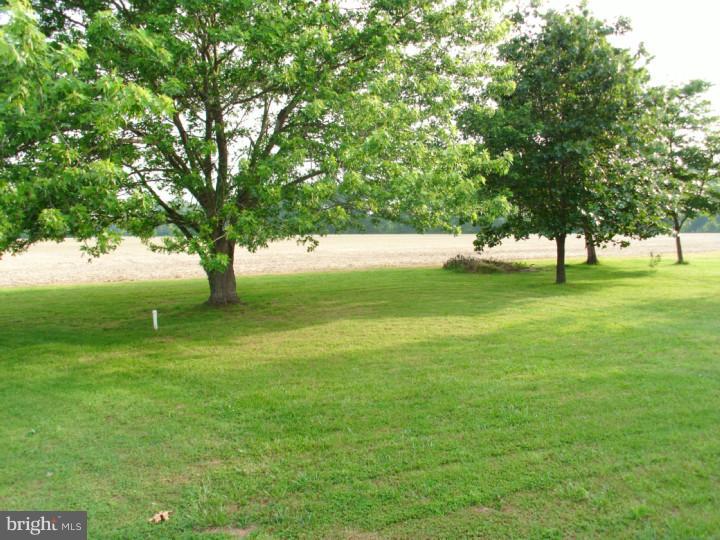582 Sandtown Road Felton, DE 19943 - Photo 3 of 12 Side Yard