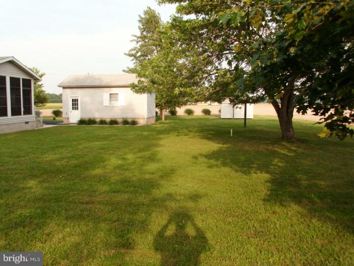 582 Sandtown Road Felton, DE 19943 - Photo 4 of 12 Back Yard