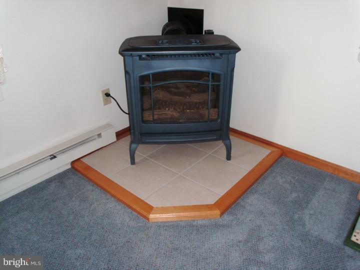 582 Sandtown Road Felton, DE 19943 - Photo 6 of 12 Fireplace
