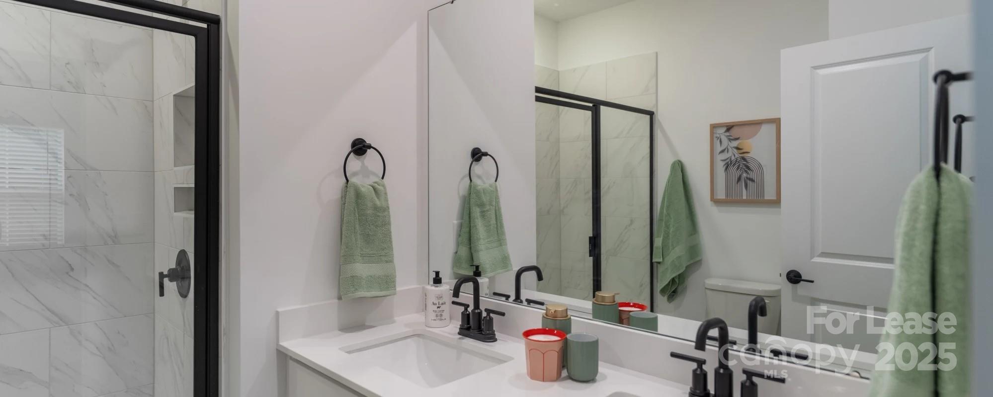 2019 Caldera Street Charlotte, NC 28208 - Photo 17 of 25 a bathroom with a mirror and a sink