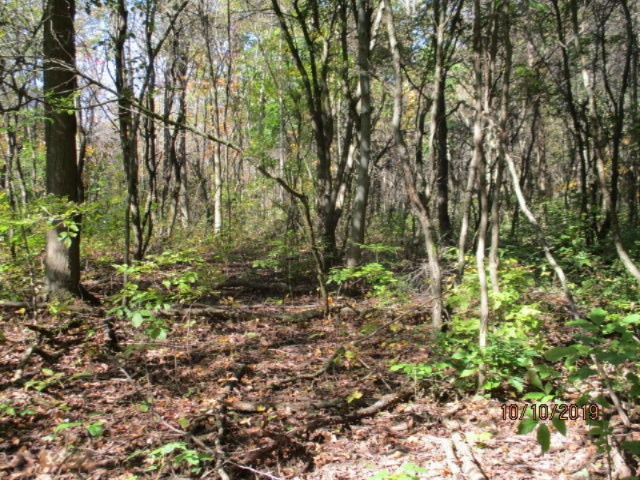 0 West 5 Point Highway Charlotte, MI 48813 - Photo 5 of 7