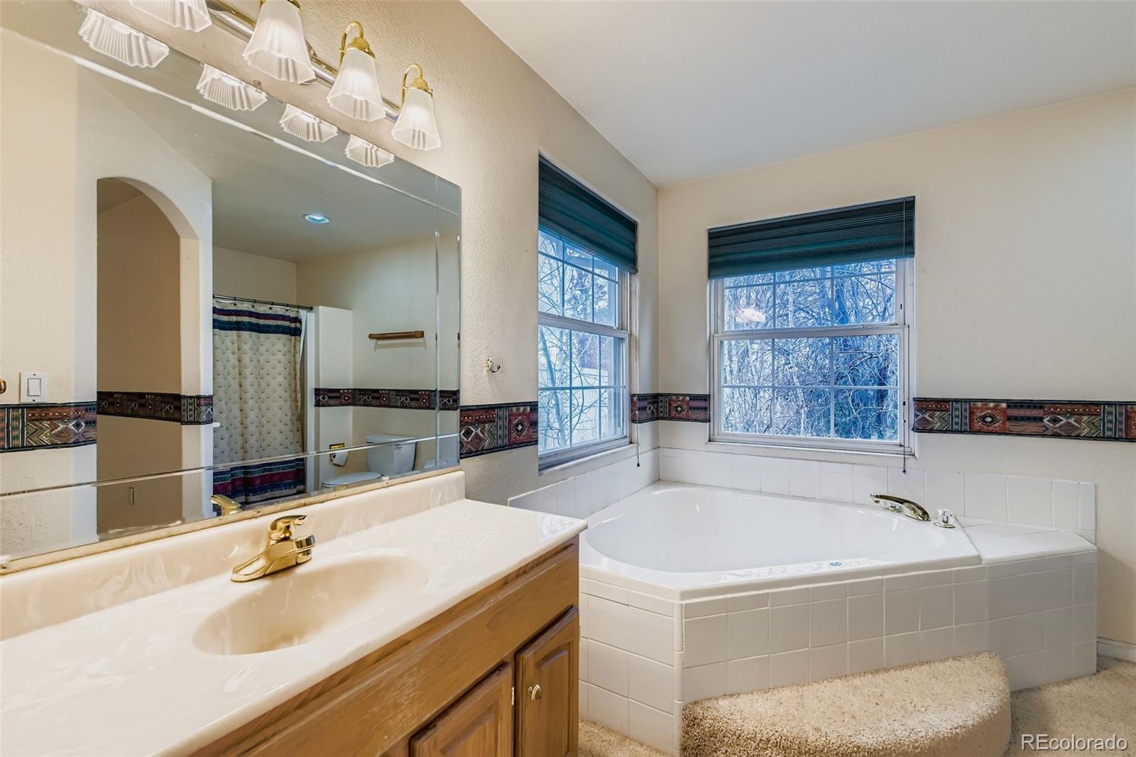 213 Elizabeth Court Fort Lupton, CO 80621 - Photo 17 of 27 a bathroom with a tub sink and a mirror