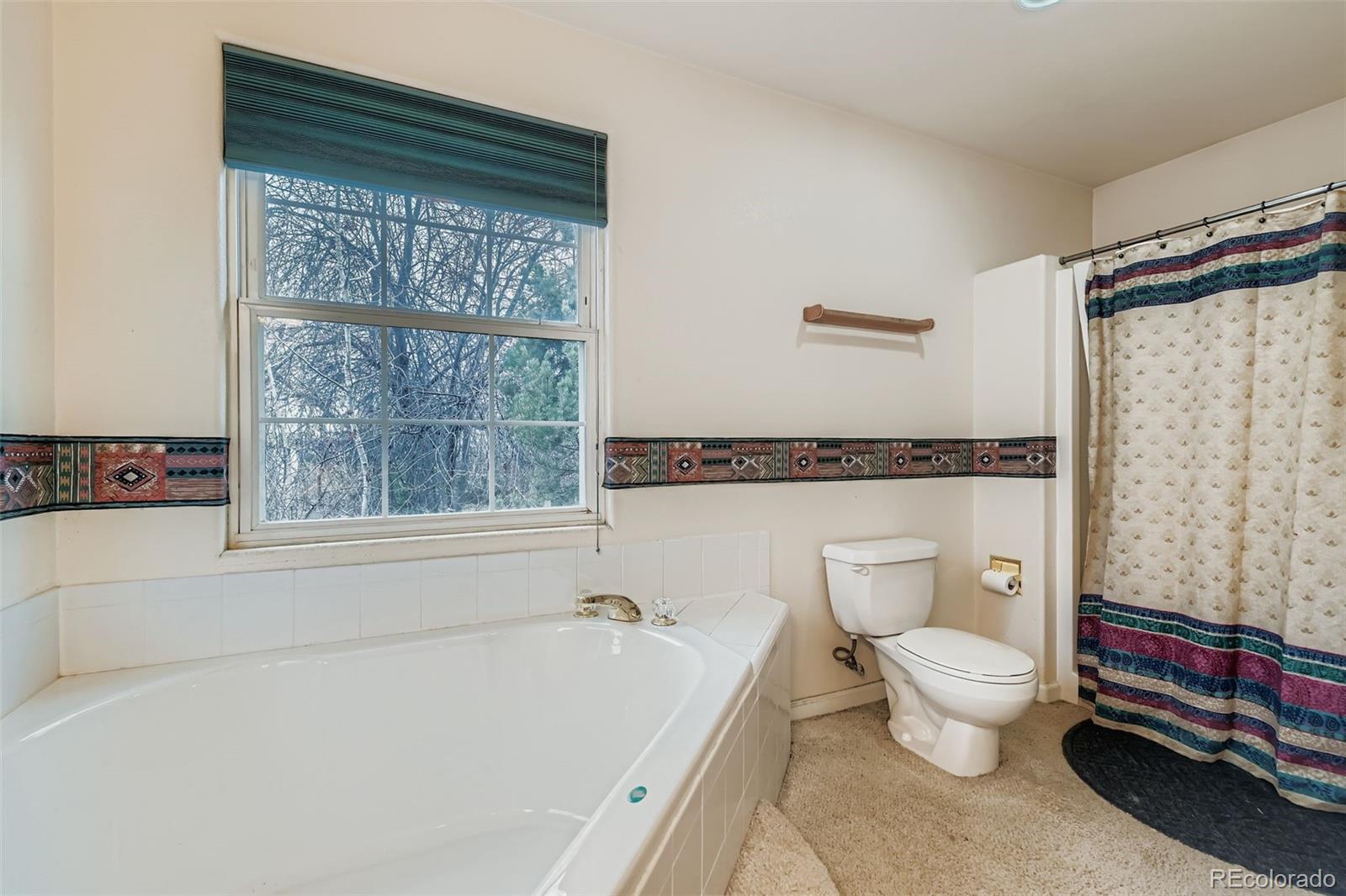 213 Elizabeth Court Fort Lupton, CO 80621 - Photo 18 of 27 a bathroom with a toilet a sink and a bathtub