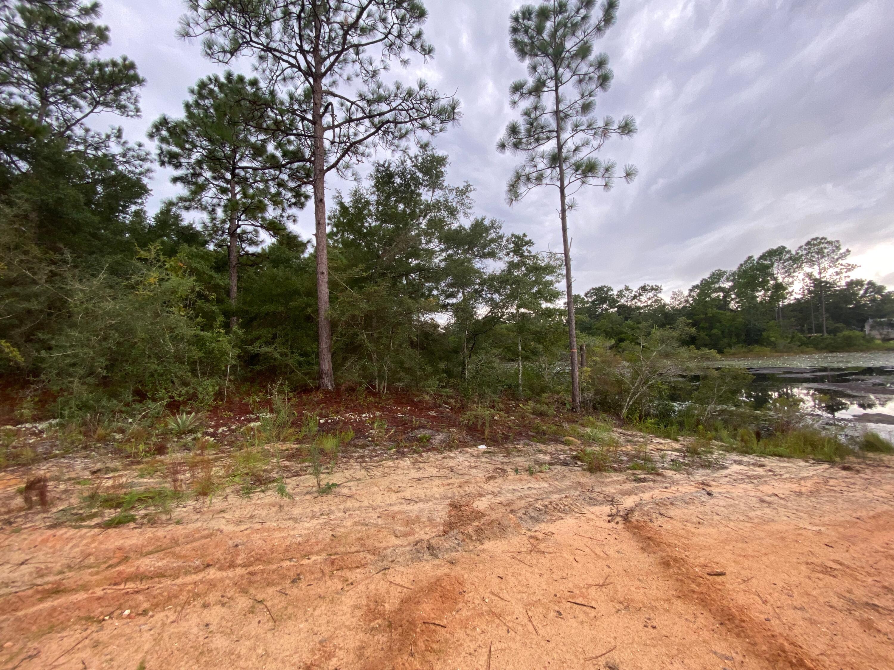 0 West Renoir Road DeFuniak Springs, FL 32433 - Photo 2 of 4 Gallery Image 2