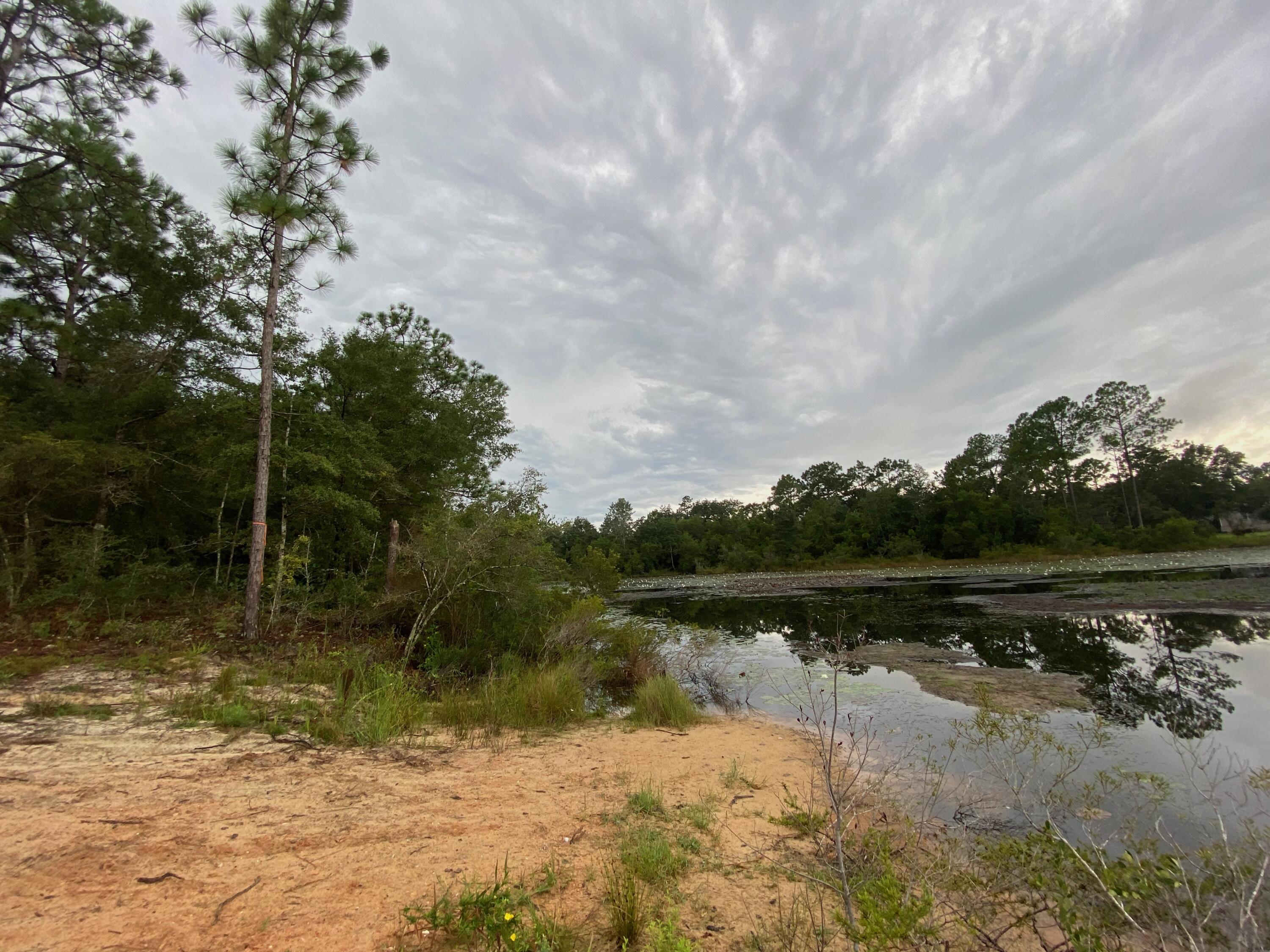 0 West Renoir Road DeFuniak Springs, FL 32433 - Photo 4 of 4 Gallery Image 4