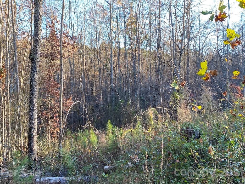 94 Pilot Ridge Road, Unit 22 Nebo, NC 28761 - Photo 15 of 32 a backyard of a house with lots of green space and trees