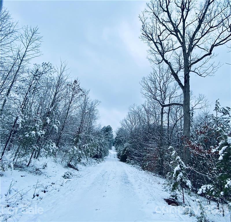 94 Pilot Ridge Road, Unit 22 Nebo, NC 28761 - Photo 26 of 32 a view of a dirt road with trees