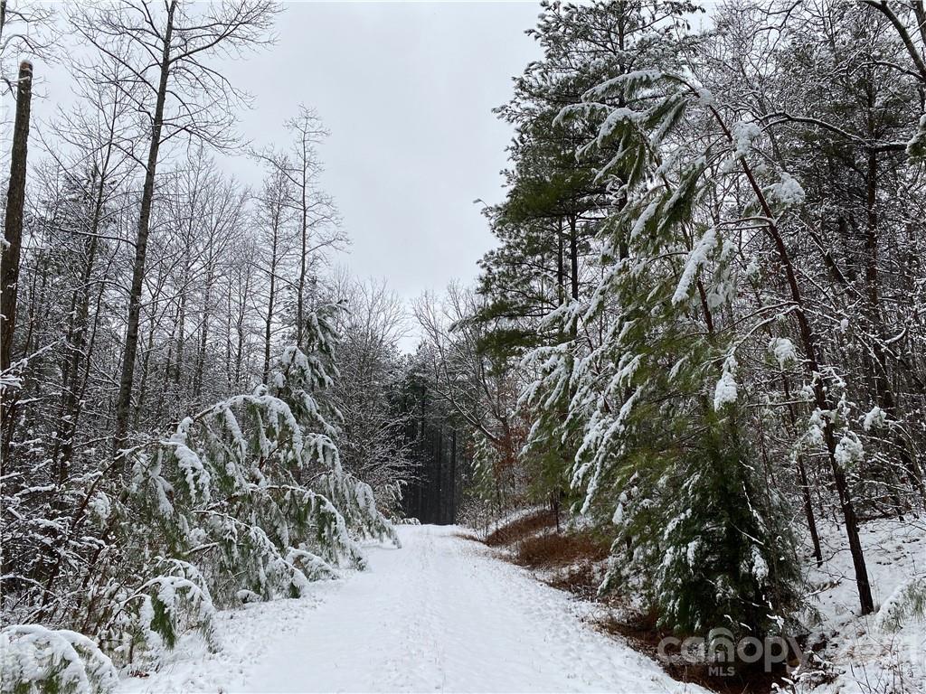 94 Pilot Ridge Road, Unit 22 Nebo, NC 28761 - Photo 29 of 32 a view of a forest with trees