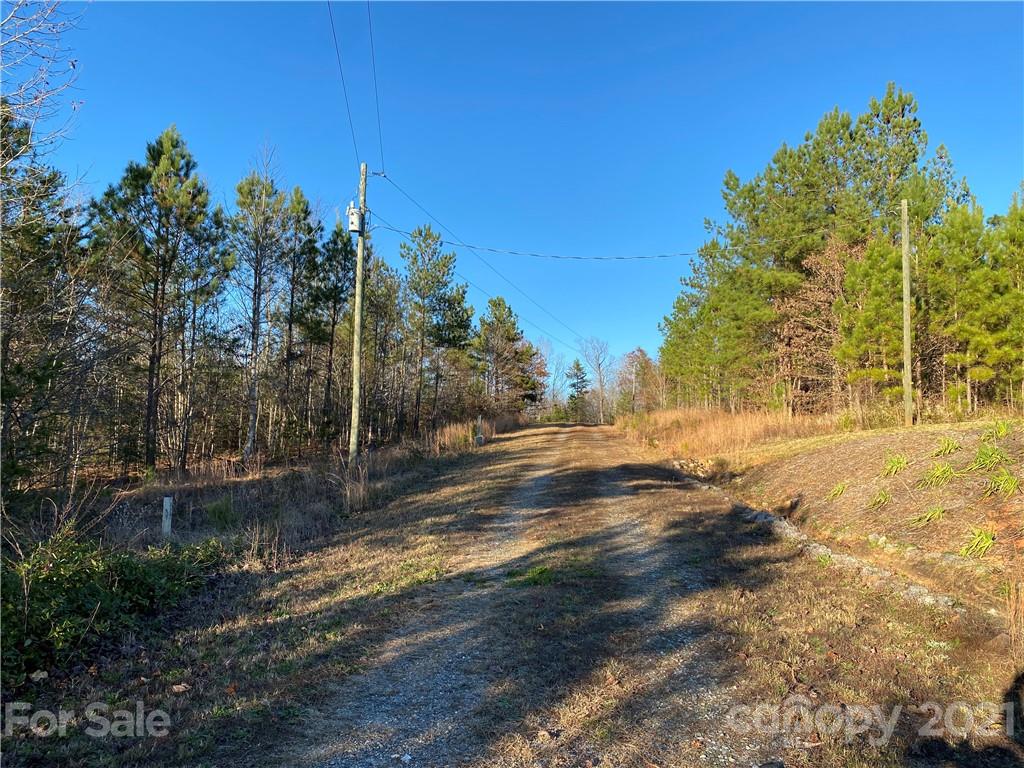 94 Pilot Ridge Road, Unit 22 Nebo, NC 28761 - Photo 9 of 32 a view of a yard with trees