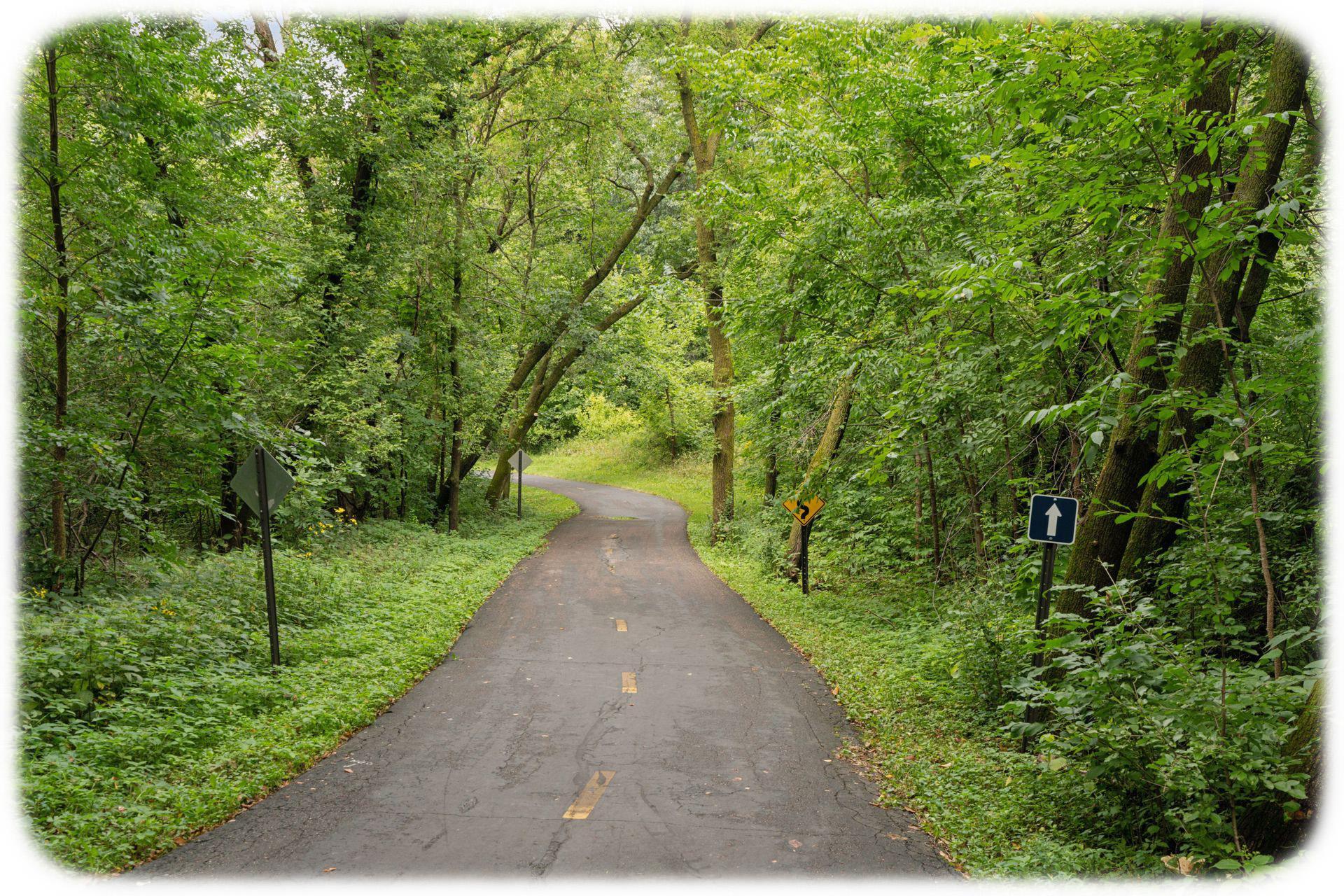 15375 75th Place North Maple Grove, MN 55311 - Photo 42 of 44