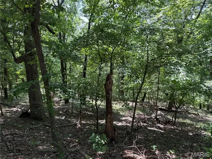 $75,000 | 1361 Bear Canyon Road, Wildwood, MO 63021